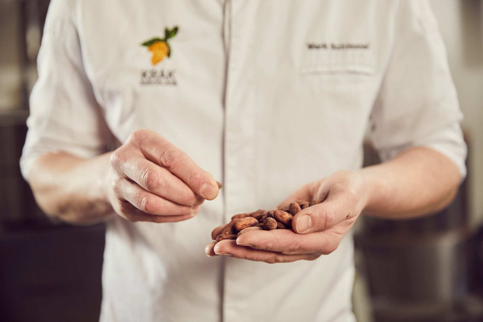 Bean to Bar Cacao