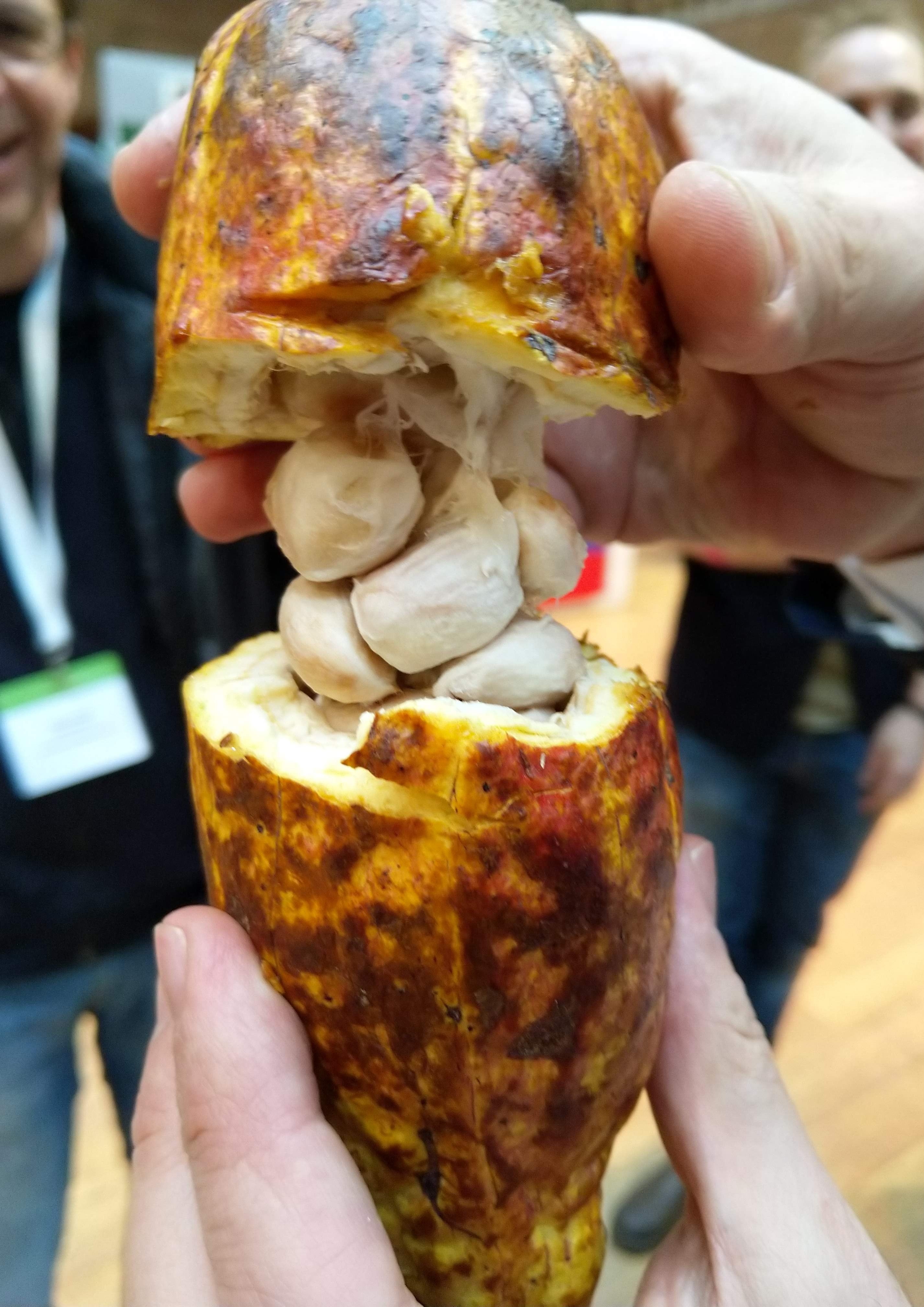 Mexico - Finca la Rioja 'Don Moisés' 70%