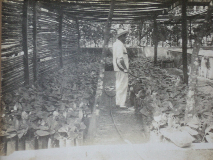 Mexico - Finca la Rioja 'Don Moisés' 70%