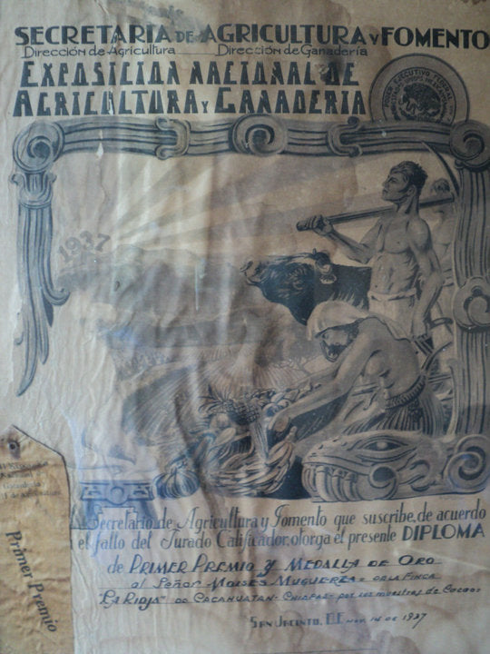 Mexico - Finca la Rioja 'Don Moisés' 70%